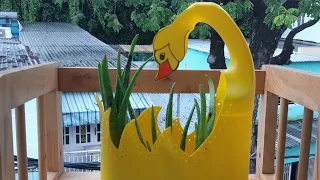 short recycle plastic bottles to make duck flower pots||HAVI TV