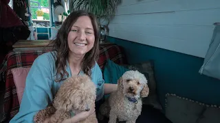 What It's Like to Live With Two Dogs on a Narrowboat