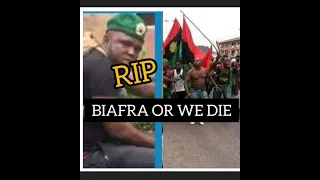 Biafran News: IKONSO KI!LED BY THE ZOO POLICE/ HIS LAST MOMENT BEFORE HIS DEA@TH