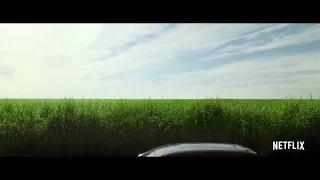 فلم In The Tall Grass القصة في الوصف