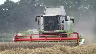harvesting wheat | 2x claas lexion 630 | Stoutenburg-Noord