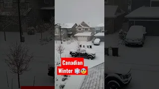 Winter in Canada ❄️💜 #shorts