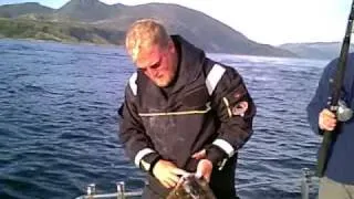 Atlantic halibut in Norway, catching Atlantic Halibut with John Beath from halibut.net
