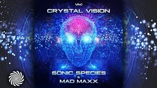 Sonic Species & Mad Maxx - Crystal Vision