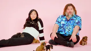 Jack Black and Awkwafina: The Puppy Interview