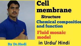 Cell Membrane Models, structure, composition and function lec#8  in Urdu Hindi By Dr A.Hadi