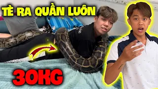 Vlog | Quý11N Chơi Khâm Troll Thả “ Con Trăn “ Khổng Lồ Lên Người LBG Và… Tè Ra Quần Luôn ?