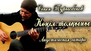 Секен Тұрысбеков - Көңіл толқыны | Акустическая гитара