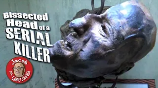 Bissected Head of a Serial Killer at Ripley's Believe it or Not WIsconsin Dells