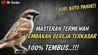 MASTERAN TERMEWAH..!!!TEMBAKAN GEREJA TERKASAR || TEMBUS..!!!