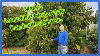 California Rare Tropical Fruit Tree Garden