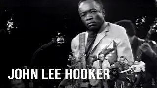 John Lee Hooker - Shake It Baby (American Folk Blues Festival, 18th October 1968)