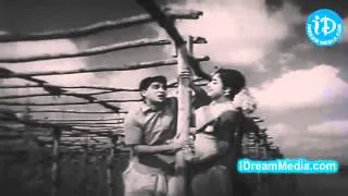 D103 Pachha Bottu Cherigi podule Pavithra Bhandam ANR,Vanisri 1972