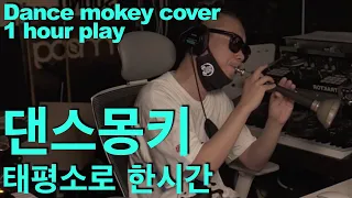 Tones & I [dance monkey] 1 hour play/댄스몽키 태평소로 1시간 연주하기