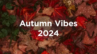 Autumn Vibes 2024 🌰 Chillout Mix