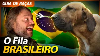 FILA BRASILEIRO, O MELHOR CÃO DE GUARDA?! | RICHARD RASMUSSEN