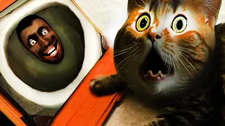 Cat reaction Magic Mixer make funny monsters Funny and Scary moment for Cat Music Story Compilation.