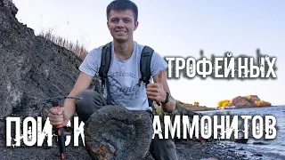 In search of huge ammonites| Mesozoic Era fossils on the Volga river in Russia