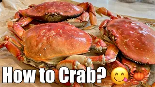 How to Cook and Shell Crab? Dungeness Crab Breakdown 😋