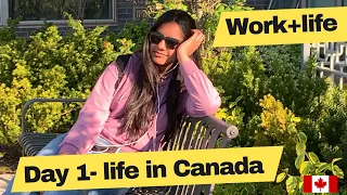 Canada Student Vlogs Day 1 🇨🇦|| Work, Skills, Life & Shopping 🥰