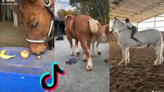 Equestrian - NEW TikTok Compilation#5