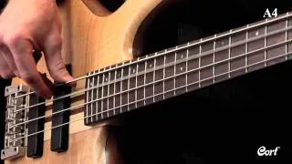Cort A4 Bass - Action Series