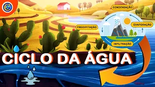 CICLO DA ÁGUA - VOCÊ PRECISA SABER DISSO!