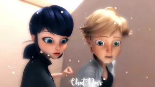 Miraculous Ladybug | AMV | Señorita , Shawn Mendes