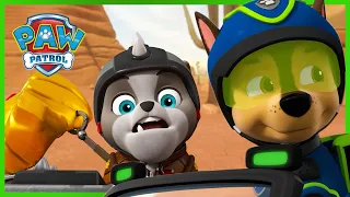 Pups and Cat Pack return the Golden Mask and more! | PAW Patrol | Cartoons for Kids Compilation