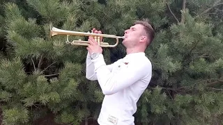 Невеста... ( Trumpet)... ( орг.Авана)