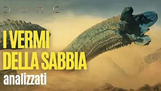 I VERMI DELLA SABBIA di DUNE analizzati