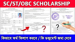 Oasis Scholarship Form Fill Up 2023 | SC ST OBC Scholarship form fill up 2024 | oasis form fill up