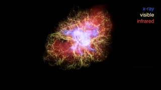 Crab Nebula: The Multiwavelength Structure of a Pulsar Wind Nebula