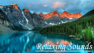 Beautiful Relaxing Music 🌻 Calm Nerve Music, Overcome Overthinking, Heart Therapy, Relaxation 🎶