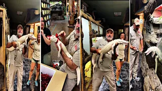 crocodile/jayprehistoricpets/TAKING MY ALBINO ALLIGATOR TO PETSMART TO PICK OUT AN OUTFIT!!