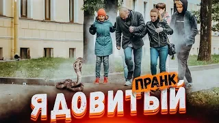 ЗМЕЯ НАПАЛА НА ПРОХОЖИХ ПРАНК / Подстава от Вджобывай / snake prank in Russia