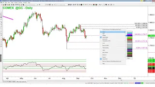 Critical Markets Deep Dive! HimaReddy Tribe