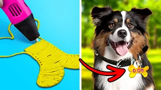 21 Cool Hacks And Crafts For Pet Owners || Cute DIYs, Fun Toys And Useful Gadgets