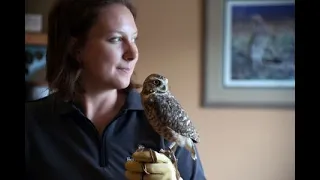 Burrowing Owls of British Columbia with Lauren Meads