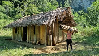 How to build house - girl build life in forest - Ep.80 | Lý Thị Ca