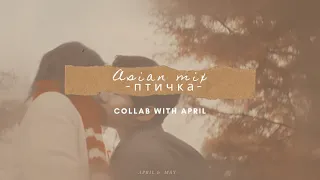 Asian Mix ┋ Птичка ➩ w/h April Nadya