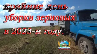 #Комбайн пытается догнать газон! В нашем хозяйстве крайние день уборки #зерновых в 2023-м году.