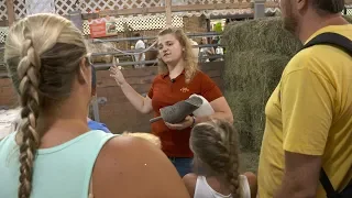 Dairy Tours