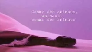 Maroon 5 ~ Animals Traduction Française