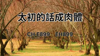 CH  E899     太初的話成肉體   (PIANO)