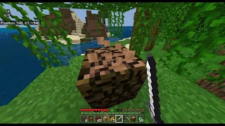 Minecraft RSG 16:10 with perfect RNG