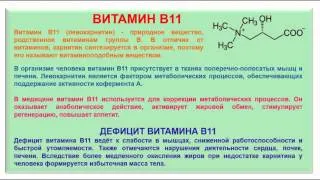 № 197. Органическая химия. Тема 28. Витамины. Часть 15. Витамин В11
