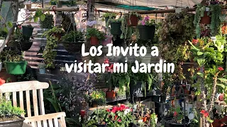 Los invito a visitar mi jardin