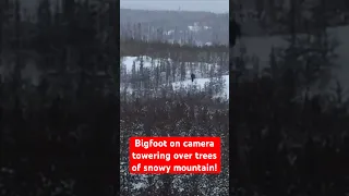 Bigfoot on Camera Towering Over Trees of Snowy Mountain!