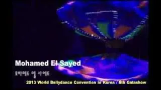 2013 World Bellydance Convention in Korea 8th galashow